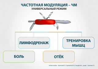 СКЭНАР-1-НТ (исполнение 01)  в Миассе купить Медицинская техника - denasosteo.ru 