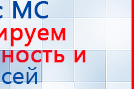 Дэнас Вертебра 5 программ купить в Миассе, Аппараты Дэнас купить в Миассе, Медицинская техника - denasosteo.ru
